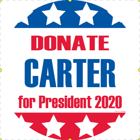 Carter 2020 Donate Button